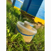 Купити бджолиний пилок