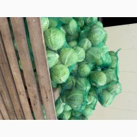 Продам капусту високої якості