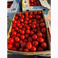 Продамо томат сливку різних видів