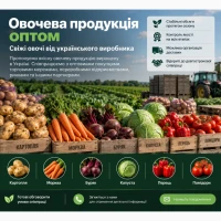 Овочева продукція оптом