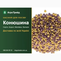 Продам насіння конюшини - Акцент, Меліфор, Валерія