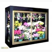 Камера-витрина холодильная для цветов