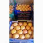Продаем грейпфрут из Испании
