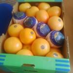 Продаем грейпфрут из Испании