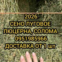 Сено солома в тюках мешках с доставкой от 1шт. Для крс, лошадей, коз, баранов