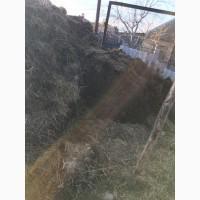 Продам навоз, сыпец, натуральное удобрение