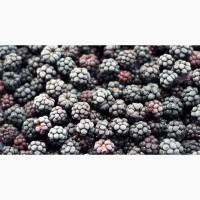 Продам чернику замороженную оптом