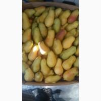 Продам грушу парижанка(талгарка) з холодильника