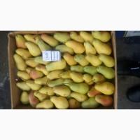 Продам грушу парижанка(талгарка) з холодильника