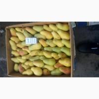 Продам грушу парижанка(талгарка) з холодильника