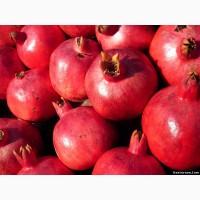 Продам гранат из Испании