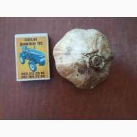 Продам часник