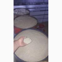 Продам бройлеров. Не комбикормовые. Очень хорошее качество