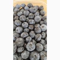 Продаємо ГОЛУБІКУ. (лохина)