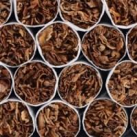 Продам Болгарский табак оптом