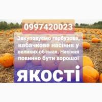 Закуповуємо гарбузове, кабачкове насіння урожаю 2020 р