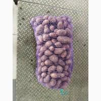 Продам Картофель, калибр 5