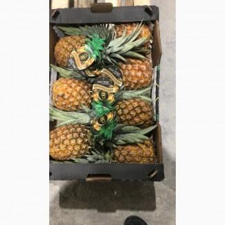Продам ананас