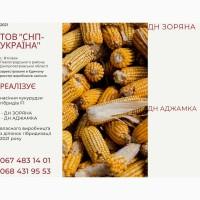 Насіння кукурудзи