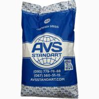 Соняшник Геракл Болгарія. Кондитерський сорт Геракл. Великоплідний соняшник Геракл