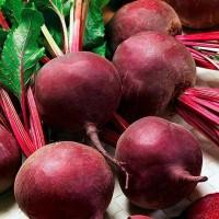 Буряк столовий