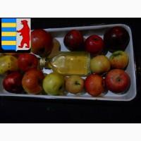 Яблочный уксус для ухода за кожей и волосами