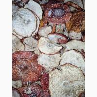 Мухомори червоні