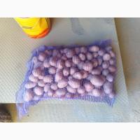 Продам картошку Беларосу