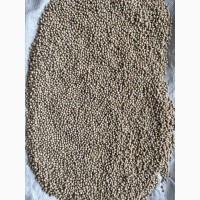 Продам люпин безалкалоїдний, Локомотив