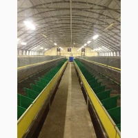 Продаж кролеферми на 35 000 голів (автоматизований європейський комплекс)