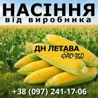 Насіння кукурудзи ДН Летава / від виробника / ФАО 350