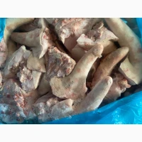 Продам хвіст свинячий