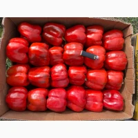 Продамо перець