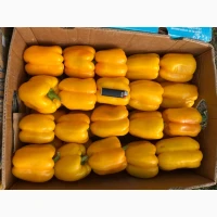 Продамо перець