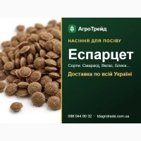 Продам насіння еспарцету - Смарагд, Вегас, Блиск