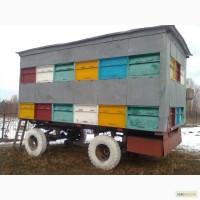 Продам павільйон для бжіл