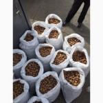 Продам грецкий орех собран от населения калибр 28