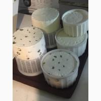 Продам Сир Качотта