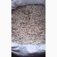 Продам семечку тыквы(болгарка)