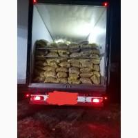 Продам грецкий орех оптом