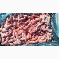 Продам замороженые и охолжденные части курицы. От производителя с 20 тонн