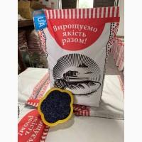 Семена подсолнечника. Гибрид Рона под Гранстар