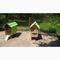 Вулики з бджолами