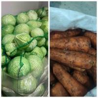 Продам морковку морковь моркву ОПТОМ