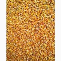 Продам зерно кукурудзи. Самовивіз