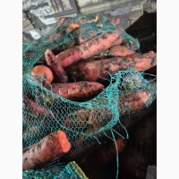 Продам морковь второй сорт