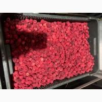 Продам малину оригінал, 80/20 та гриз
