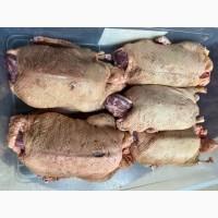 Продам тушки качки і гуски