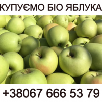 Закуповуємо яблоко на сік, на переробку Форма оплати будь-яка - Новий сезон