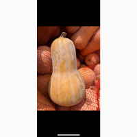 Продам батурнат